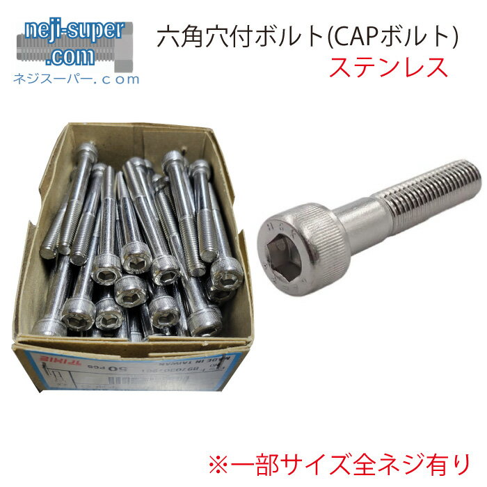 ステンレス 六角穴付きボルト (CAPボルト) M6X10 【100個入り】 DIY 修理 部品 補強