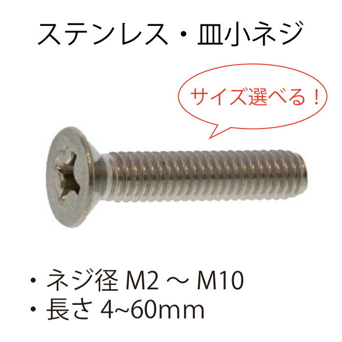 ステンレス 皿小ネジ M2 M2.3 M2.5 M2.6 M3 M3.5 M4 M5 M6 M8 M10 サイズ選べる 小ネジ ネジ 小ねじ ねじ 皿小ねじ DIY バラ売り ばら バラ ばら売り