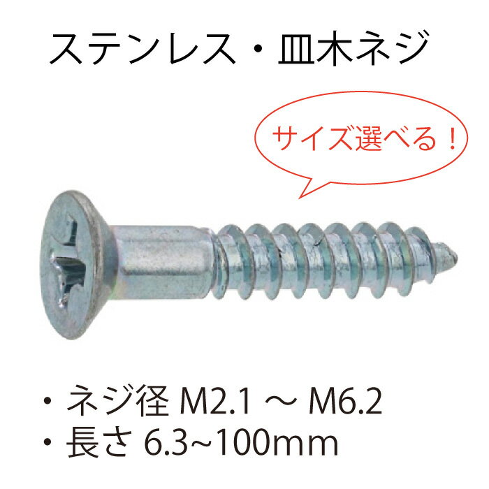 ステンレス 皿木ネジ M2.1 M2.4 M2.7 M3.1