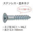 【ポイント2倍】 ステンレス 皿木ネジ M2.1 M2.4 M2.7 M3.1 M3.5 M3.8 M4.1 M4.5 M4.8 M5.1 M5.8 M6.2 M6.8 サイズ選べる 木ネジ 建材用 建築 DIY ねじ 皿木ねじ 木ねじ バラ売り ばら バラ ばら売り