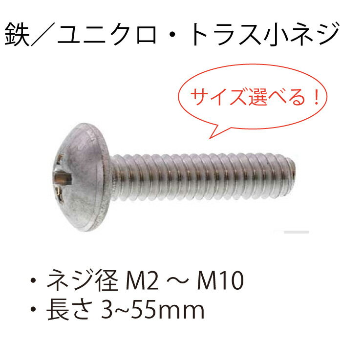 鉄 ユニクロ トラス小ネジ M2 M2.3 M2.5