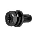 鉄 (+)アプセットP=4 M6x30 三価黒 【300個入】
