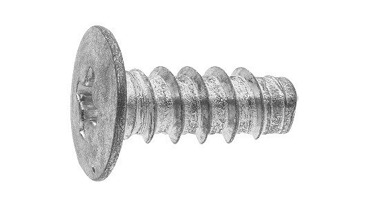 ߥᥤȡBȡ25ġۥߥᥤ(+)B 4 X 6 ɸ(ޤŴ) / ۥ磻