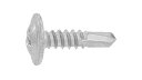 ダンバ(シンワッシャー粗目【300個】ダンバシンワッシャー(アラメ 4 X 45 標準(または鉄) / 三価ホワイト