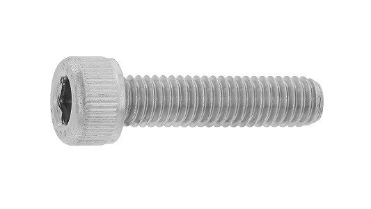 CAP　左ねじ（興津螺旋）【200個】ステンCAP(ヒダリ(オキツ 6 X 30 ステンレス(303、304、XM7等) / 生地(または標準)