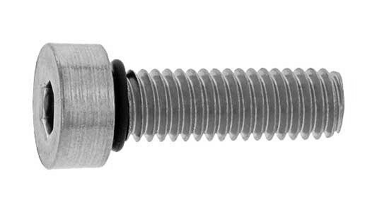 シールキャップボルト（大丸鋲螺【200個】SUSシールCAP 8 X 25 ステンレス(303、304、XM7等) / 生地(または標準)