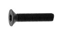 TORX−皿CAP【500個】TORX-サラCAP(DIN 6 X 30 ステンレス(303、304、XM7等) / 生地(または標準)