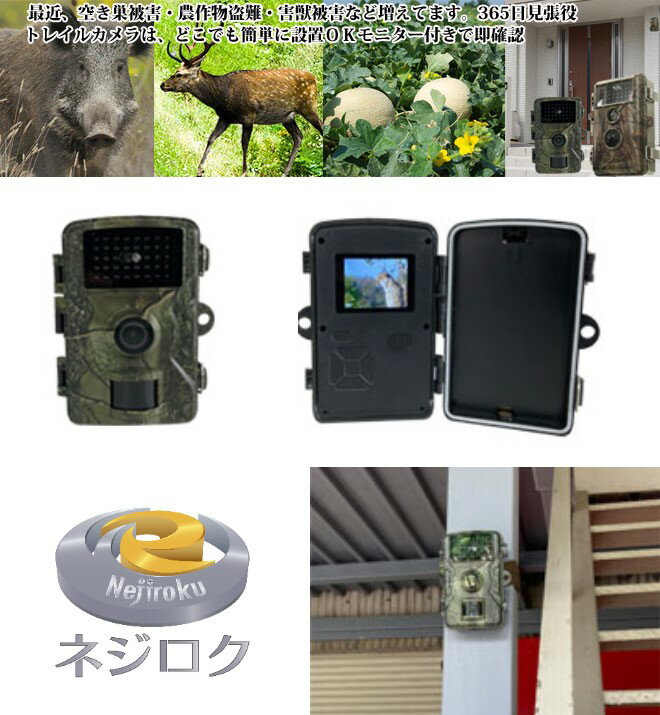 楽天市場】富士倉 fujikura トレイルカメラの通販 楽天市場】富士倉 fujikura トレイルカメラの通販