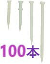 在庫あり】プラ釘 65　合計100本 【追跡メール便】 ・ ポリ釘 65 ・ サビレス 65 ・ 樹脂釘 65 ・ 乾産業