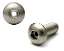 ステンレス/生地 エアー抜き ボタンキャップ (全ねじ)M3×20 【 バラ売り : 1本入り 】