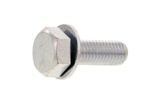 Ŵ/ۥ磻 ȥ꡼ޥॹ [P=1]M1245 Ȣ  1Ȣ40 