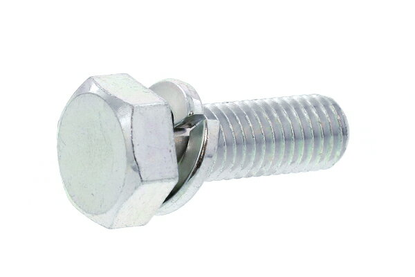 鉄/ユニクロ トリーマセムス [P=2]M8×40　【 小箱 ： 1箱／120本入り 】