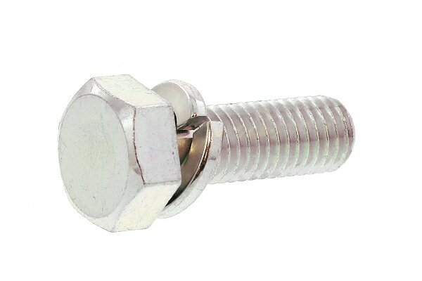 鉄/三価ホワイト トリーマセムス [P=2]M12×25　【 お得セット ： 20本入り 】