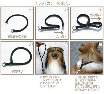 キンペックス ストレッチカラー 宅配便あす楽対応 ゆうパケット対応