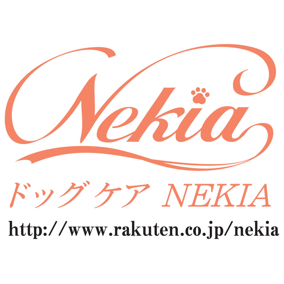 Shop icon