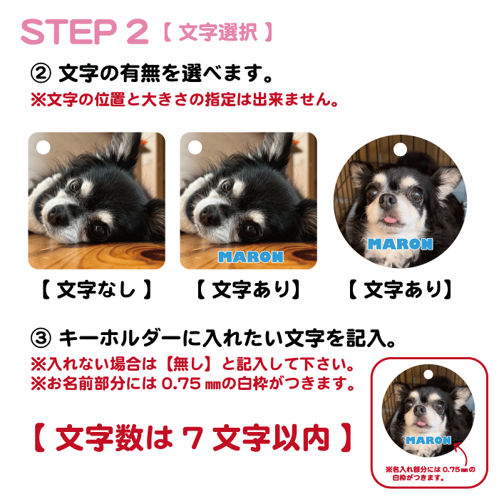 【10%オフクーポン配布中】名入れ可能 推し活 キッズ 入園入学 赤ちゃん 出産祝い 七五三 母の日 ギフト プレゼント ペット うちの子 記念品 保育園 幼稚園 小学校 習い事 スポーツ レッスンバッグ オリジナル キーホルダー 選べる