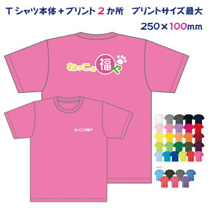 名入れ Tシャツ 大人 ドライメッシュ生地バックプリント中25×10cmとプリント小10×10cmの2か所込み（イラストレーターデータ持ち込みOK）