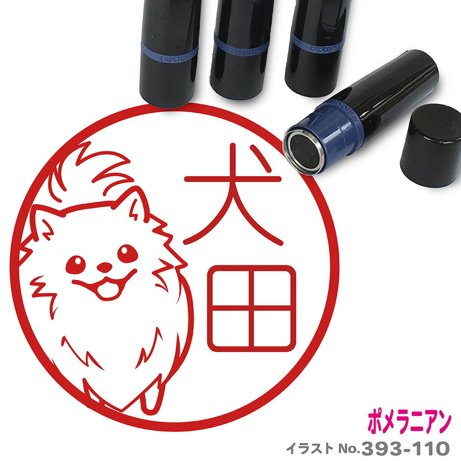 ݥ˥ D Ϥ 襤 饹 ͡ 10mm ֥饶    