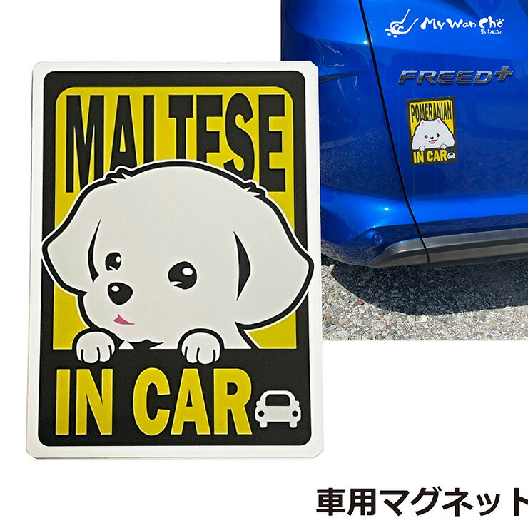 �ޥ������ �ޥ��ͥå� ���� IN CAR