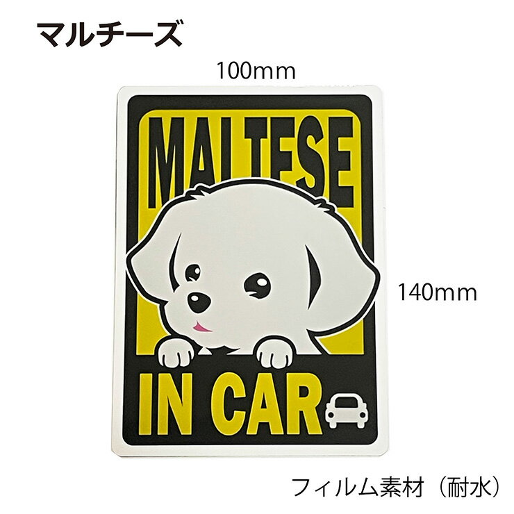 �ޥ������ �ޥ��ͥå� ���� IN CAR
