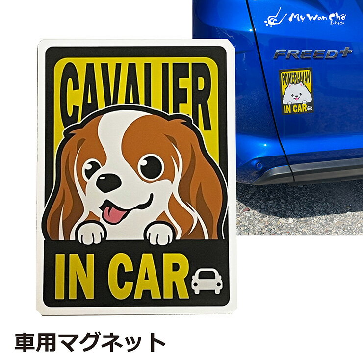 ����Хꥢ �ޥ��ͥå� ���� IN CAR
