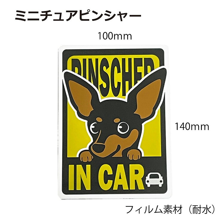 ミニチュアピンシャー マグネット 車用 IN CAR