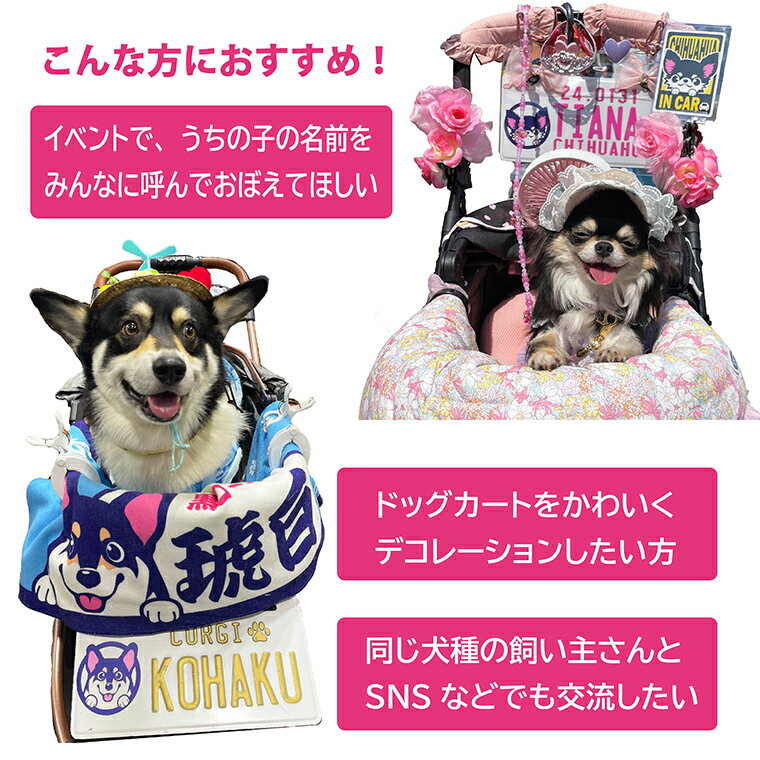 ������ǥ��ȥ�С� �͡���ץ졼�� ���饹�� �ڥåȥ����� �� �ɥå�������