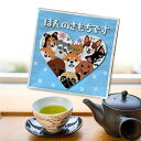 ほんの気持ちです メッセージ茶 ティーパック1個入
