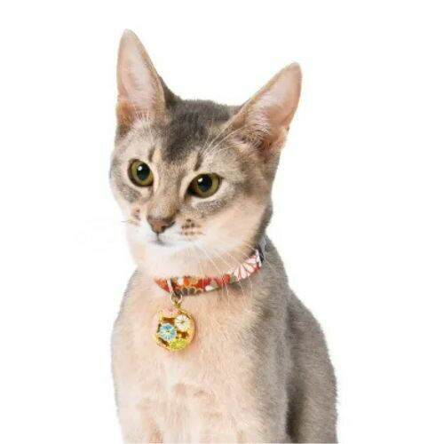 【メール便】CAT Amo.k アモワークス キャット J-大菊 カラー レッド ブラック S M サイズ 猫用 首輪 セーフティーバックル 810117