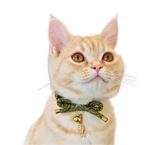 【メール便】CAT Amo.k アモワークス キャット さかな泥棒 レッド ブルー グリーン S M サイズ 猫用 首輪 セーフティーバックル 810039