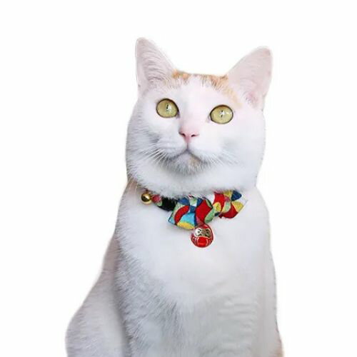 【メール便】CAT Amo.k アモワークス キャット 千客万来だるま カラー レッド ブルー S M サイズ 猫用 首輪 セーフティーバックル 810048