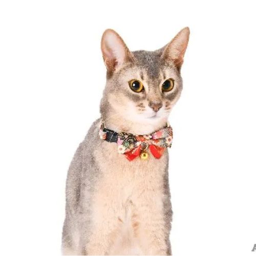 【メール便】CAT Amo.k アモワークス キャット 梅もみじ カラー パープル ブラック S M サイズ 猫用 首輪 セーフティーバックル 810149