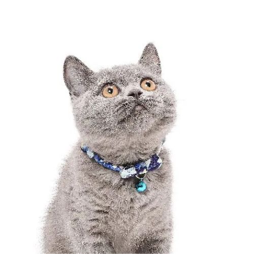 【メール便】CAT Amo.k アモワークス キャット 雅 カラー レッド ブルー パープル S M サイズ 猫用 首輪 セーフティーバックル 810150