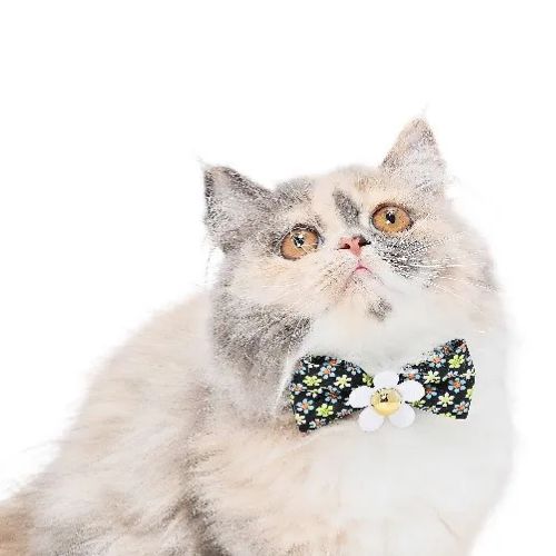 【メール便】CAT Amo.k アモワークス キャット 　レトロフラワー カラー ホワイト ブラック S M サイズ 猫用 首輪 セーフティーバックル 810143