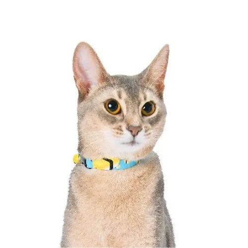 【メール便】CAT Amo.k アモワークス キャット SUSHI たまご えび S M サイズ 猫用 首輪 セーフティーバックル 810146