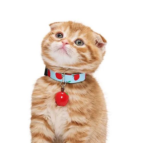 【メール便】CAT Amo.k アモワークス キャット　赤りんご S M サイズ 猫用 首輪 セーフティーバックル 810124