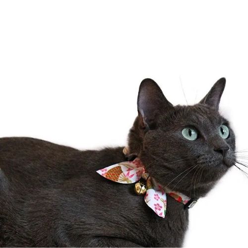 【メール便】CAT Amo.k アモワークス キャット　 毬りぼん カラー ホワイト レッド ネイビー S M サイズ 猫用首輪 セーフティバックル 810012