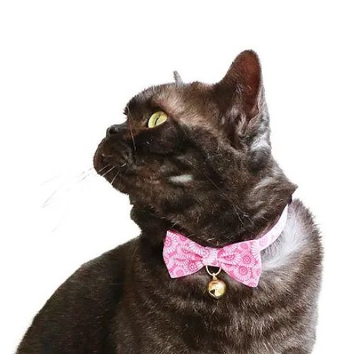 【メール便】CAT Amo.k アモワークス キャット　 菊リボン カラー ピンク レッド ブルー ネイビー S M サイズ 猫用首輪 セーフティバックル 810007