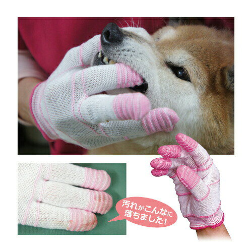 歯みがき手袋 普通サイズ 犬猫用1個