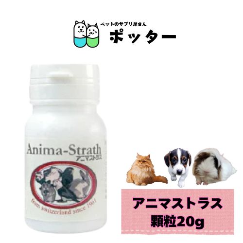 乐天商城 - アニマストラス　顆粒　20g 動物用 ペット用 エキゾチックアニマル 鳥 インコ 犬 猫 ウサギ モルモット サプリメント ハムスター 免疫力向上 皮膚 被毛 腸活 お腹 天然酵母 人気商品 成犬 アダルト シニア ねこ ネコ 成猫 小型犬 中型犬 大型犬 小動物