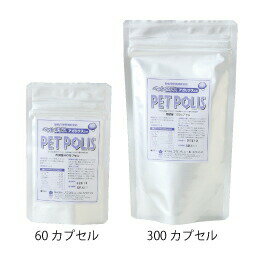 ڥåȥݥꥹꥹꡡץ롡60γ