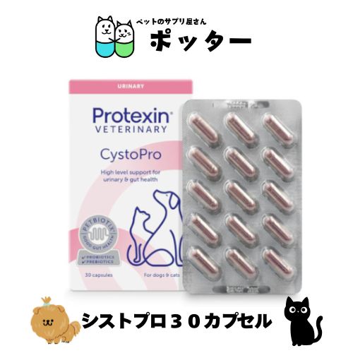 樂天商城 - シストプロ　30カプセル 犬猫用 サプリメント ペット用 愛猫 愛犬 ねこ ネコ 膀胱