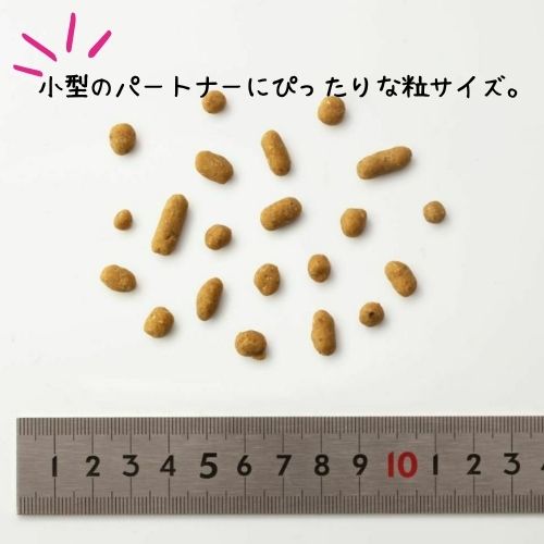 ドットわん 鶏ごはん 3kg 犬用 ドッグフード 犬用 ドッグフード ドライ 国産 ノンオイルコーティング 超小型犬 小粒 手作りごはん 総合栄養食 どっとわん 成犬 パピー シニア 小型犬 アダルト 子犬 仔犬 天然食材 チキン