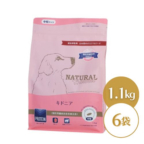 ڴºǿ ʥϡ٥ ɥ˥ 1.1kg6 ¡ ˡ ɥåա ɥ饤  γ γ  ¡ ...