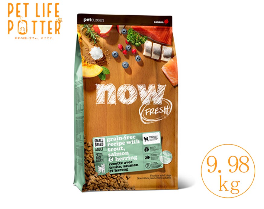 【正規品・期限最新】ナウフレッシュ グレインフリー スモールブリード フィッシュアダルト 9.98kg ドッグフード ドライフード 送料無料 ドックフード 魚 フィッシュ アダルト 成犬 成犬用 犬のご飯 犬の餌 犬エサ 超小粒 小粒 グルテンフリー 小型犬 犬 エサ 健康