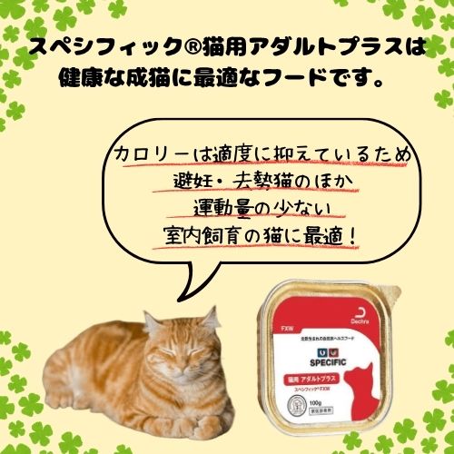 ペットのサプリ屋さんポッターのスペシフィック 猫用 アダルトプラス FXW 100g×7個(1ケース) ウェットフード キャットフード 成猫 室内猫 室内飼い 避妊 水分補給 トッピング 去勢｜アングル2