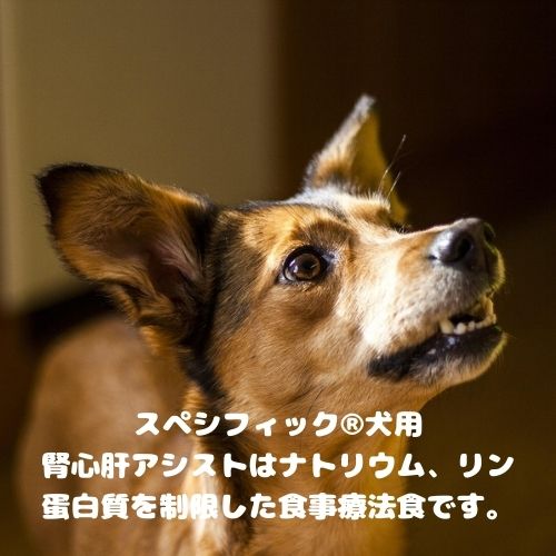 ペットのサプリ屋さんポッターのスペシフィック 犬用 腎心肝アシスト CKD 2kg ドッグフード 療法食 ドライ 腎臓病 心臓病 リン ナトリウム｜アングル2