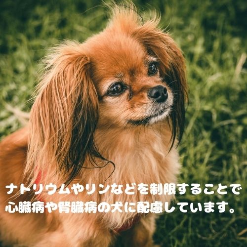 ��3�ޥ��åȡ����٤��ǥ��ࡼ���ȤΥ��åȾ��ʡۥ��ڥ��ե��å� ���� �տ��Υ������� CKD 2kg �ɥå��ա��� ��ˡ�� �ɥ饤 ��¡�� ��¡�� ��� �ʥȥꥦ��