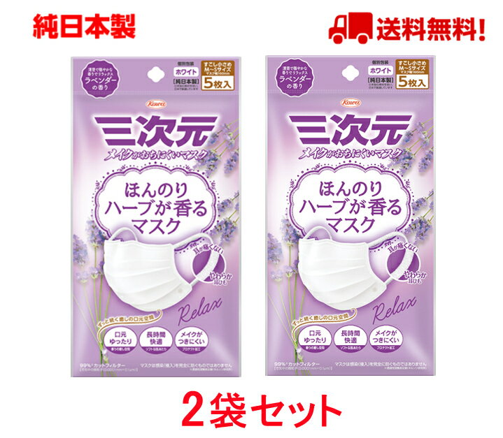 三次元マスク　ラベンダーの香り 少し小さめサイズ ハーブ 5枚入 ほんのりハーブが香るマスク 興和三次元 日本製 コーワ 使い捨て サージカルマスク ウイルス対策 花粉対策 送料無料【5枚入りx2袋セット】