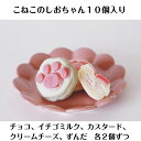 【猫モチーフのかわいいお菓子でプレゼントに最適!】こねこのしおちゃん1箱(10個入り チョコ・カスタード・イチゴミルク・クリームチーズ・ずんだ 各2個)